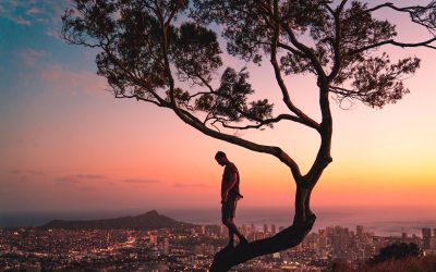 In the midst of change, hold on to your True North